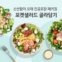 포켓샐러드 간편한 밀키트 채소 야채 샐러드 도시락 골라담기, 12.갈릭페퍼 로스트 닭다리살 샐러드