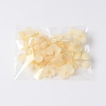 화연양화 프리저브드플라워 수국 1g 컬러최다 30색! 레진아트 캔들 하바리움 꽃재료, 08 샴페인