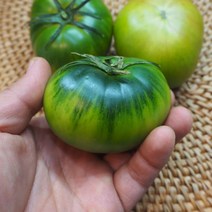 부산 대저토마토 짭짤이 못난이 2.5kg-5kg 산지직송, 정품 대저토마토 프리미엄과 2.5kg M