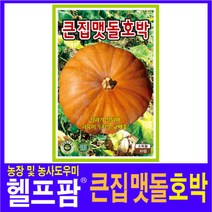 헬프팜 큰집맷돌호박 30립 호박씨 씨앗 종자 KS종묘