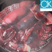국내산 선동 급냉 초코오징어 통오징어 5미 1kg 통찜용 숙회용 초콜렛오징어, 2개