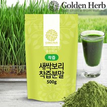 골든허브 새싹보리 착즙 분말 가루 어린 보리새싹분말 20배 고농축, 2개