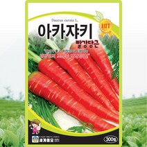아카쟈키 당근 씨앗 당근 씨 종자 300립, 1개
