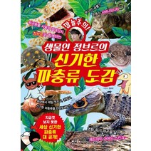 깜놀주의! 생물인 정브르의 신기한 파충류 도감:세상 신기한 파충류 대 공개!, 베가북스