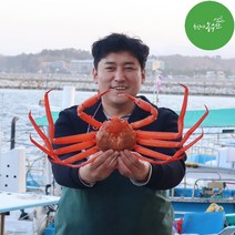최고다농수산 홍게 산지직송 3kg 손질홍게 런칭이벤트 자숙비용 무료, 프리미엄 홍게 3kg내외 3~9미 (생물)