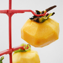 곶감 꽂이 걸이 행거 건조대 고정핀, 꼭지핀10개