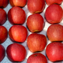 [에코농산] 고당도 과육단단 청송 부사 꿀사과 10kg, 10kg 소과 (51~58과)