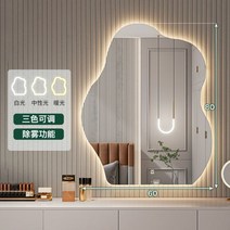탁상거울 선물 화장대거울 세트 스탠드거울 메이크업 조명 LED101772, 31 삼색조절+안개제거 60 80CM
