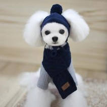 강아지모자 크리스마스 개 의류 강아지 테디 니트 모자 겨울 따뜻한 스트라이프 + 스카프 칼라, 01 navyblue_02 M