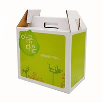 메디캡 아름다운박스 10장