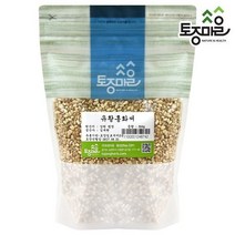 [토종마을]국산 유황홍화씨 500g, 없음, 1개