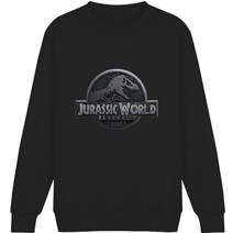 맨투맨/후드티/후드집업/반팔티/긴팔티/마블티/쥬라기공원/JURASSIC PARK/빅사이즈//티셔츠/3XL/애드홍/6J79