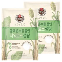 백설 하얀자일로스설탕 2kg 2개