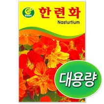 대용량 한련화 씨앗 (100g) [BEG@K1230P], 대용량 한련화_100g