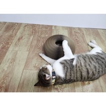 냥이 골판지 벌집 스크래처, 1개