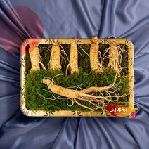 [삼우리]6년근 인삼(수삼)500g / 6-7뿌리