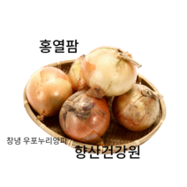 우포누리 양파즙180개 혈관개선 당뇨예방 (자색양파즙.자연산붕어즙.호박즙칡즙.양배추즙.우슬닭발.배 도라지.비트즙), 50개, 110ml, 110