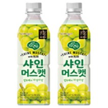 샤인머스캣 알로에첨가 페트음료 500ml x 12개, 상세페이지 참조, 상세페이지 참조