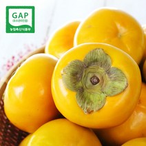 [생산자직송] 창원 송본 단감(중) 10kg, 단품