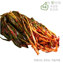이슬처럼 맛있다! 수입산 숙성파김치 5kg 중국산 숙성파김치 5kg (종이박스)(옵션B:숙성파김치), 수입 파김치B