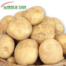 농협 [농협청과33번] 22년산 감자 10kg (중)-가정실속형/쩌먹기 좋은크기, 1