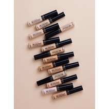 더샘 커버 퍼펙션 팁 컨실러 best, 2호