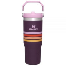 스탠리 스플로 스테인리스 스틸 빨대 텀블러 크림, 30oz, Plum Stripe