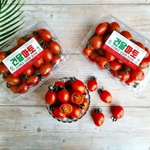 스테비아 방울토마토, 스테비아 방울토마토 1kg