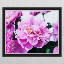 [바보사랑] 부를부르는풍수작약꽃_창문그림액자[꾸밈], 타입선택:F타입러블리베이지