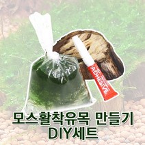 아쿠아마켓 모스활착유목 만들기 DIY세트, C세트
