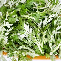 봄기운 가득 품은 노지재배 쑥 500g