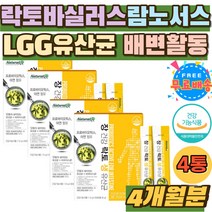 락토바실러스 LGG 람노스 배변활동 원할 장건강 가루 노인 12종 살아있는 유산균 비피더스균 아연 면역력 어린이 초등학생 락토 장에좋은 생유산균 홈쇼핑 추천 임산부 키즈 배변활동
