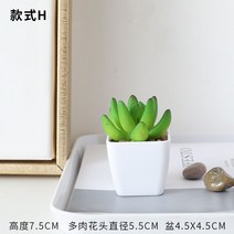 인테리어 인조 식물 나무 화분 에뮬레이션 그린 식물 고기 소분재 사무실 책상 위 미니 선인장 다육장식 조화 장식, 18 H대3층선인자
