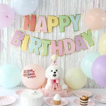 강아지 생일파티 세트, 미니, 고깔+화환set, 민트