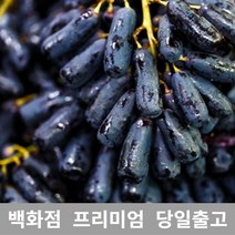 가락청과네 블랙사파이어 2kg 가지포도 크림슨 샤인, 1, 본상품선택