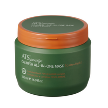 ATS 퍼스티지 카미시 올인원마스크 500ml 두피 손상모발 케어