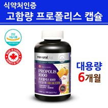 식약처인증 프로폴리스 캡슐 구강프로폴리스 고함량 플라보노이드 추출물 17mg 알약타입 항산화 피로회복 영양제 미세먼지 황사 목건강 효능 대용량 프리미엄 골드 캐나다 직수입 해외 직, 1개, 6개월분