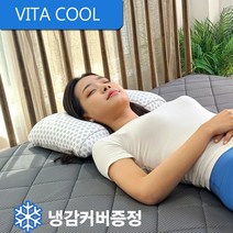 비타 쿨베개 (유아 성인 시원한 베개) 여름베개 냉감베개 3가지 사이즈, 라지(스카이블루)