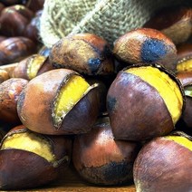 [팜쿡] 국내산 포르단밤(칼집) 2kg, 상세 설명 참조