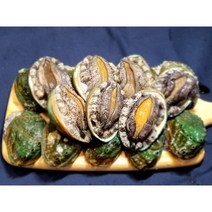 완도 활 전복 특대/꼬마 1kg 당일발송 대유수산, 구이용전복17-20미1kg할인가