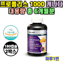 내츄럴플러스 프로폴리스 1000 180캡슐 x 2병 12개월 대용량