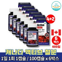 캐나다 액티브 철분 약국 아기 성장기 어린이 아이 임신초기 산후 철분제 복용법 영양제 철분제제 푸마르산제일철 캡슐 식약처 인증, 6박스