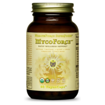 헬스포스 슈퍼푸드 표고 잎새 영지 차가버섯 추출 베타글루칸 60캡슐 HEALTHFORCE SUPERFOODS Reishi Chaga Mushroom, 상세내용참조, 없음, 알약/캡슐