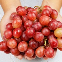 고당도 크림슨포도 1kg, 없음