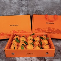 [명절 선물세트] 프리미엄 제주 한라봉 특대과, 한라봉+레드향 설날5KG  혼합 선물세트, 5kg (13과~18과)
