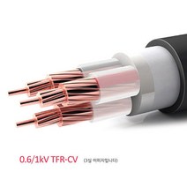 TFR-CV케이블 / 1.5SQ ~ 240SQ 2심(2Core) / CV전선 / M판매, 240SQ  2C