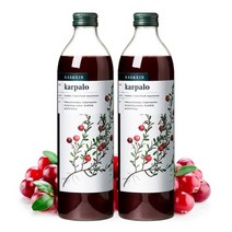 핀란디아 [핀란디아] 핀란드 카스케인 크랜베리 원액 주스 500ml 2병, 단품