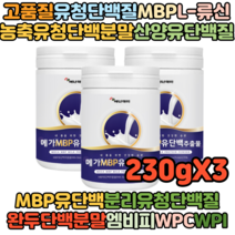 30대여성 체중감량 식사대용 산양유단백질 쉐이크 프로틴단백질 파우더 쉐이크 MBP 유청분말 분리유청단백질 산양유 류신 요가 필라테스전후 프로틴 아미노산보충제