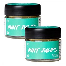 LUSH LIP SCRUB Mint Julips 러쉬 립 스크럽 민트 줄립스 25g 2팩