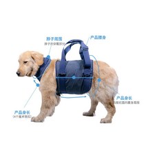 강아지 척추 보호대 허리 디스크 재활 보조기 슬개골, 파란색 S목둘레 4048cm에 적합